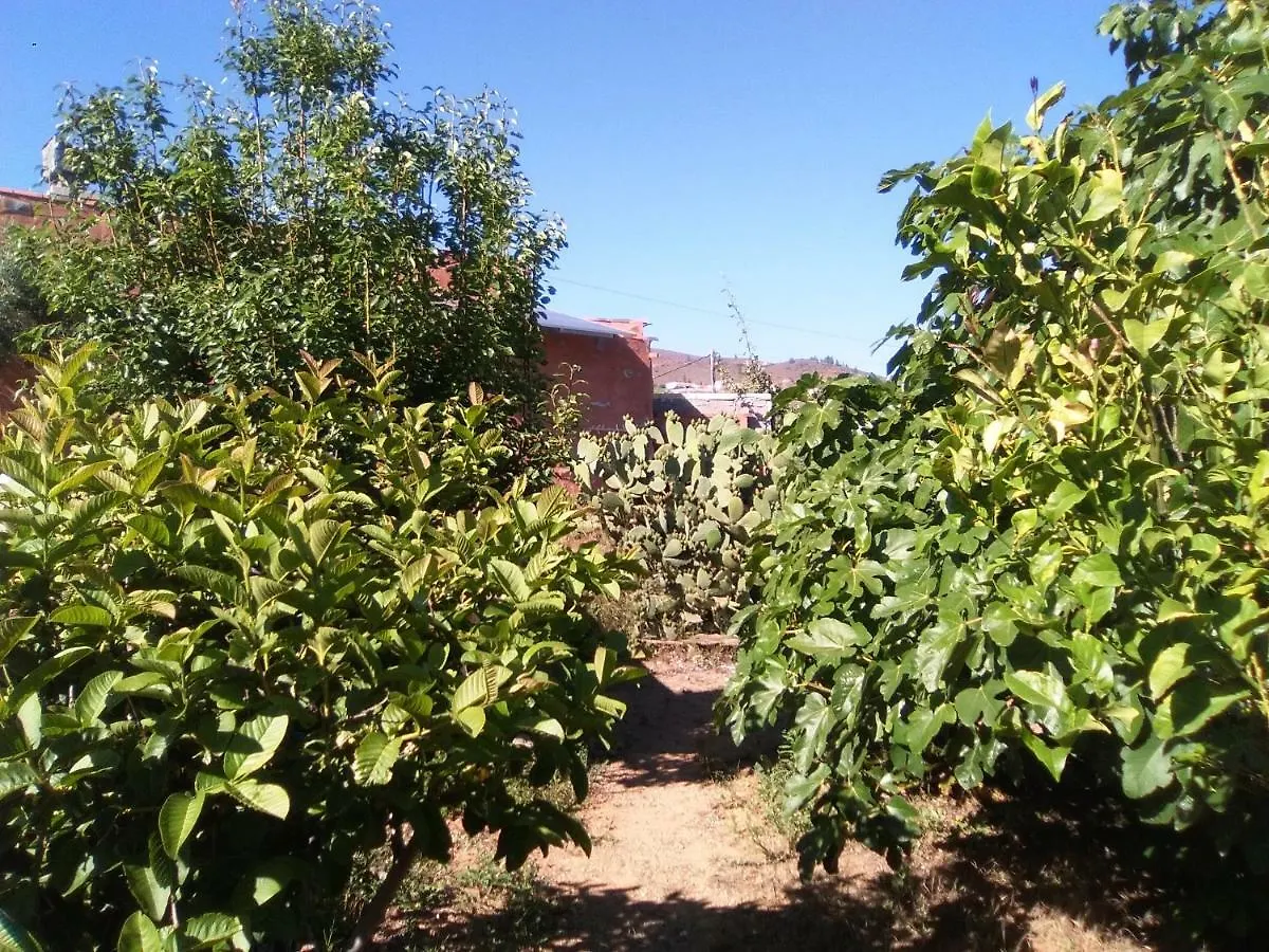 Holiday home Casa De Los Abuelos Vilaflor Spain