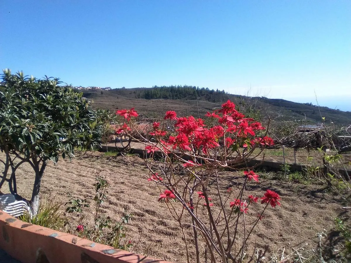 Holiday home Casa De Los Abuelos Vilaflor
