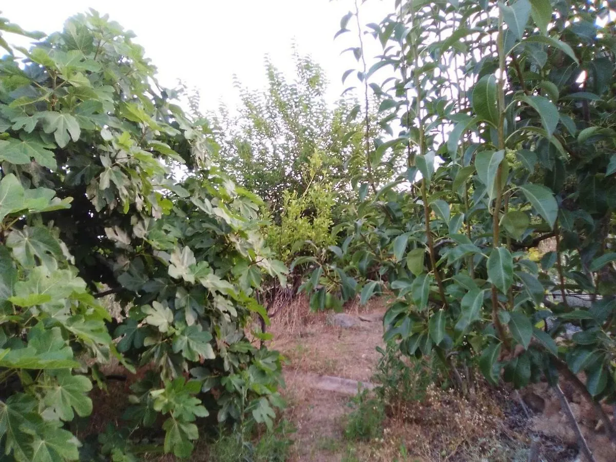 Casa de los abuelos Vilaflor Сasa de vacaciones