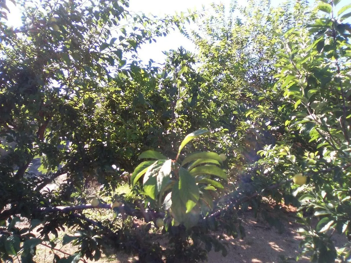 Tatil Evi Casa De Los Abuelos Vilaflor İspanya